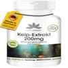 Kelp Extract 200 mg – 250 Tablets – High-Dose, Vegan, Natural Iodine | HERBADIREKT by Warnke Vitalstoffe – German Pharmacy Quality view 1