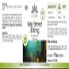 Kelp Extract 200 mg – 250 Tablets – High-Dose, Vegan, Natural Iodine | HERBADIREKT by Warnke Vitalstoffe – German Pharmacy Quality view 3