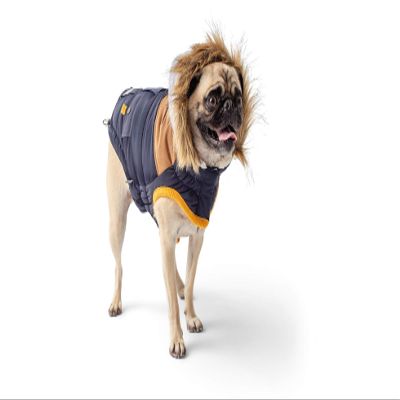 GF Pet LODGE Parka, XL, Navy