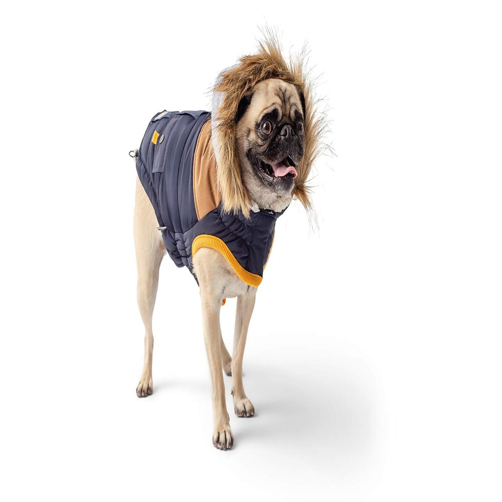 GF Pet LODGE Parka, XL, Navy
