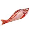 Catnip Fish Toy - 20cm view 1
