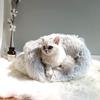 KUANDARYJ Fashion Cat Sleeping Bag view 4