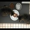 SanoZoo Bowl Mat, OEKO-TEX – Made in Germany – Cat Feeding Mat, 70 x 120 cm, Black view 2