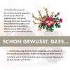 CristinenMoor Premium Devil’s Claw Balm, 500 ml view 3