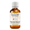 Greenwood Essential Pure Dill Seed Essential Oil (Anethum graveolens), Steam-Distilled, 100 ml (3.38 oz) view 1
