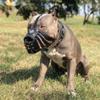 Bestia Aztec Muzzle view 2