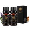 Aphrosmile 2 x 10 ml Essential Oil Set for Diffusers view 1
