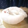 Warm Pet Donut Bed, Soft Plush Cushion with Non-Slip Base, 70 cm, White view 1
