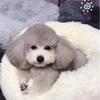 Warm Pet Donut Bed, Soft Plush Cushion with Non-Slip Base, 70 cm, White view 4
