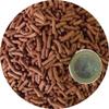 Cichlid & Arowana Medium Sticks (250ml) view 1