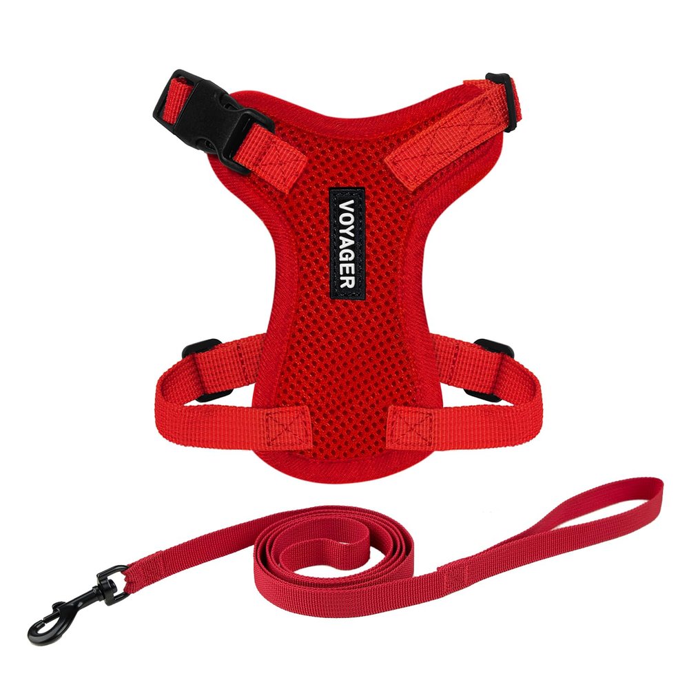 Voyager Step-in Lock Cat Harness and Reflective Cat Leash with Neoprene Handle by Best Pet Supplies, Red, XXXS, 1.5 m
