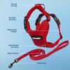 Voyager Step-in Lock Cat Harness and Reflective Cat Leash with Neoprene Handle by Best Pet Supplies, Red, XXXS, 1.5 m view 3