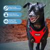 Best Pet Supplies Voyager Step-In Lock Pet Harness - All-Weather Mesh, Adjustable for Cats and Dogs - Red/Black Trim, L view 3