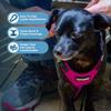 Best Pet Supplies Voyager Step-In Lock Pet Harness - All-Weather Mesh, Adjustable for Cats and Dogs - Fuchsia/Black Trim, L view 3