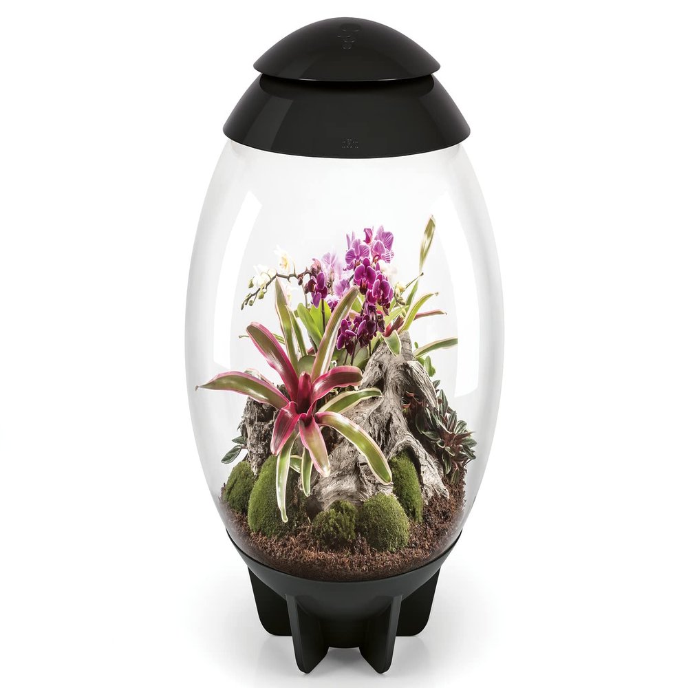 biOrb AIR 60 Black - Automated Terrarium
