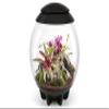 biOrb AIR 60 Black - Automated Terrarium view 1
