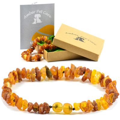 AmberPetCare Amber Necklace for Dogs and Cats