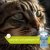 Dirk Drexel ZeckoX Herbal Treats for Cats, with Coconut and Teasel, 3-Month Course view 4