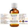Greenwood Essential Pure Essential Cornmint Oil (Mentha arvensis), Steam-Distilled, 5 ml (0.16 oz) view 2