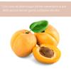 Valquer Sugar 3-in-1 Solid Facial Cleanser | 50 g view 4