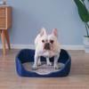 ADASP Indoor/Outdoor Dog Toilet with Pee Post and Training Tray view 3