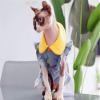 ZHIHAN Sphynx Summer Princess Skirt for Hairless Cats, Anti-Dandruff, Thin, Size S view 3