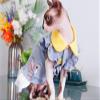 ZHIHAN Sphynx Summer Princess Skirt for Hairless Cats, Anti-Dandruff, Thin, Size S view 4