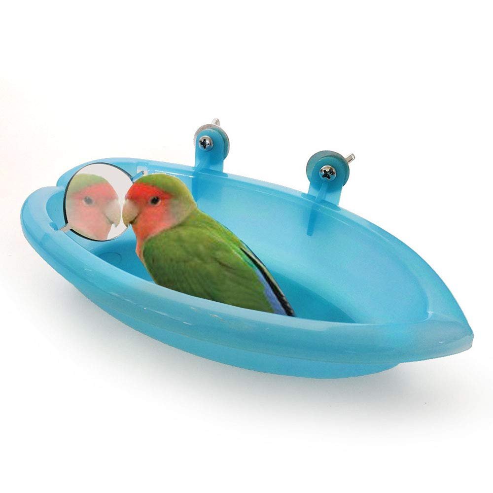 Amasawa Bird Bath with Mirror