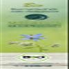 Organic Borage Oil, 250 ml, Cold-Pressed from the First Pressing, Virgin, 100% Pure view 4