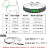 Haoyueer Soft Suede Dog Collar and Leash Set with Rhinestones, Red, S view 2