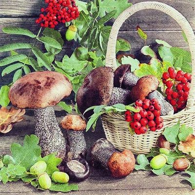 20 Napkins with Mushrooms and Berries for Fall Table Decor, 33 x 33 cm