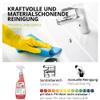 Lorito Saniready Bathroom Cleaner Spray, 750 ml view 3