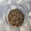 1,000 g Emmer Grains, Black Emmer, Partially Disinfested, Germinable view 2