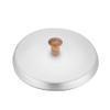 220 V Double- pot Wax Warmer, 300 W view 2