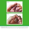 O'Keeffe's Working Hands, 96 g Tub, 2-Pack – Hand Cream for Extremely Dry, Cracked Hands view 4