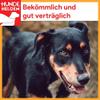 BREERs Dried Beef Hooves for Dogs, 10 Pieces, Made in Germany, for Large and Small Dogs view 3