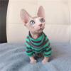 ZHIHAN Sphynx Cat Clothing Spring T-Shirt, Striped Cotton Sweater for Hairless Cats, Color 1, M+ view 3