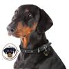 BT Bear Dog Tags, 2-Pack, Small Enamel Metal Tags, Doberman view 3