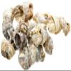 Fish4Dogs Dental - Sea Jerky Fish Knots - 100 g view 3