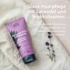 Urtekram Lavender Conditioner – Soothing, Moisturizing, Vegan, 180 mL / 6 fl oz (1 Pack) view 2