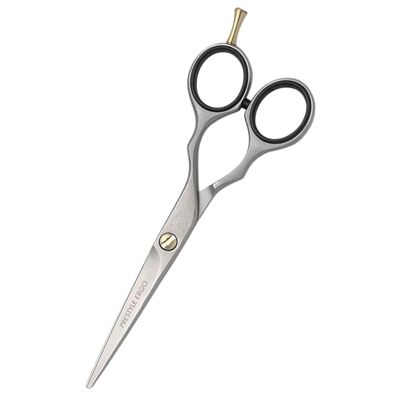 Professional Hairdressing Scissors, 5.5 in, 100% Stainless Steel