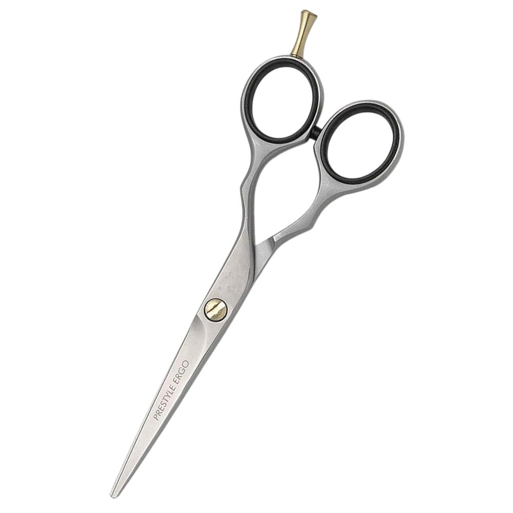Professional Hairdressing Scissors, 5.5 in, 100% Stainless Steel