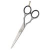Professional Hairdressing Scissors, 5.5 in, 100% Stainless Steel view 1