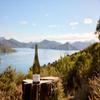 Cloudy Bay Sauvignon Blanc, 2025 Vintage, New Zealand White Wine, 0.75 L view 3