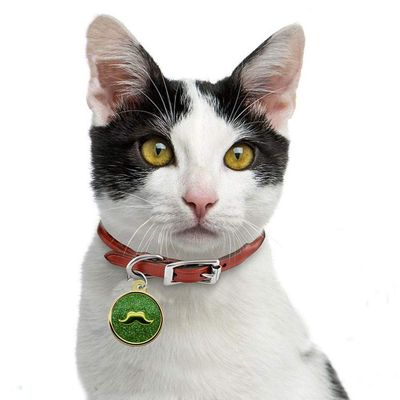 Dreamls Pet Pendant for Dogs and Cats
