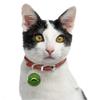 Dreamls Pet Pendant for Dogs and Cats view 1
