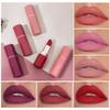 GL-Turelifes Matte Lipstick, Long-Lasting Waterproof Lip Color (#02 Peach Pink) view 2