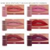 GL-Turelifes Matte Lipstick, Long-Lasting Waterproof Lip Color (#02 Peach Pink) view 3