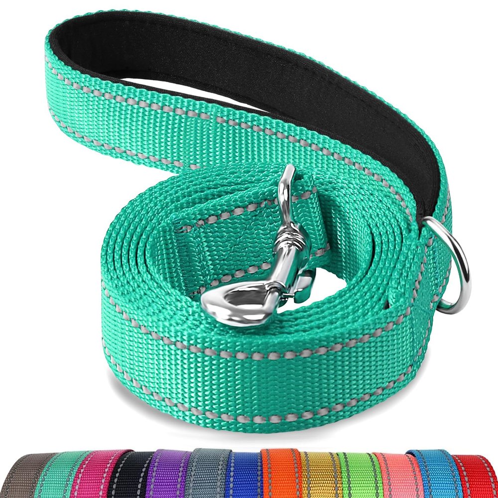 Joytale Reflective Dog Leash for Large and Medium Dogs