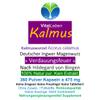 Calamus Root (Sweet Flag) Stomach Bitter, 360 Powder Capsules – Pure Nature, No Additives view 2